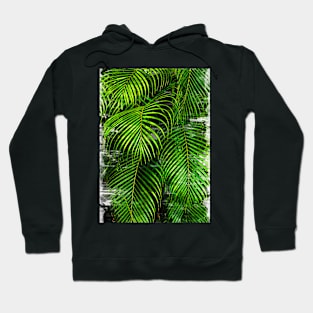 Palm Tree Leaves Abstract - For plant lovers Hoodie